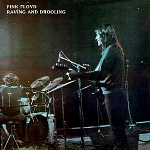 Pink Floyd Raving and Drooling